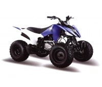Квадроцикл  Motoland ATV 150S