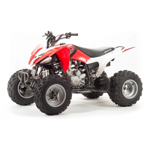 Квадроцикл Motoland ATV 250S