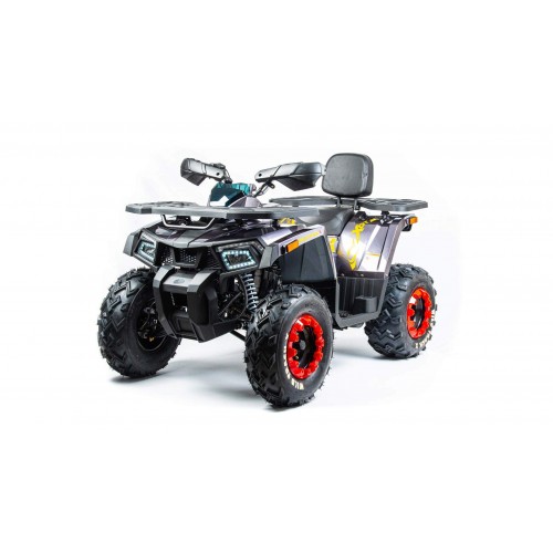 Квадроцикл Motoland ATV 200 WILD TRACK X (баланс. вал) (2022 г.)
