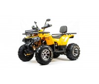 Квадроцикл Motoland ATV  200 WILD TRACK X PRO (баланс вал)