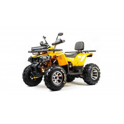 Квадроцикл Motoland ATV  200 WILD TRACK X PRO