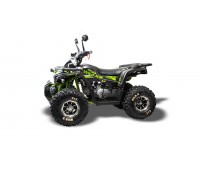 Квадроцикл Motoland  ATV 125 WILD X PRO