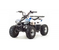 Квадроцикл ATV Motoland EAGLE 110